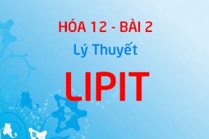 Lipit là gì? Chất béo là gì? Tính chất hóa học, Tính chất vật lý của chất béo và Ứng dụng - Hóa 12 bài 2